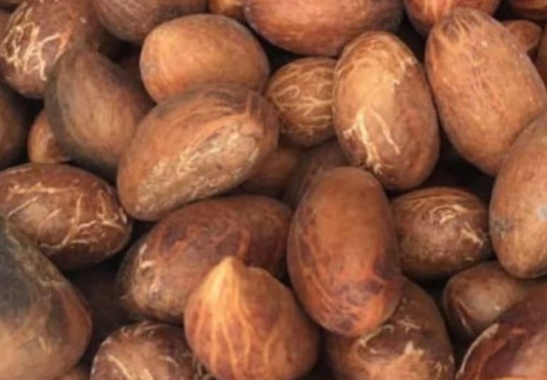Poudre de Petit Cola 100g - 100% Naturel